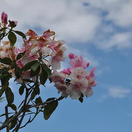 Holiday home Rio Molino *