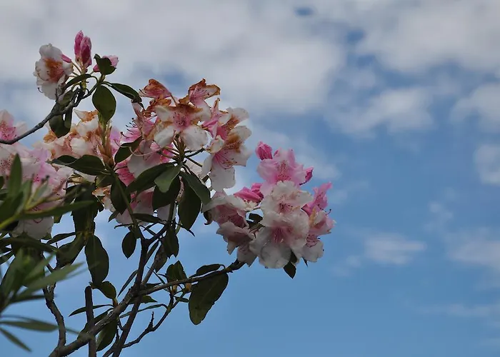 بيت للعطل Rio Molino *