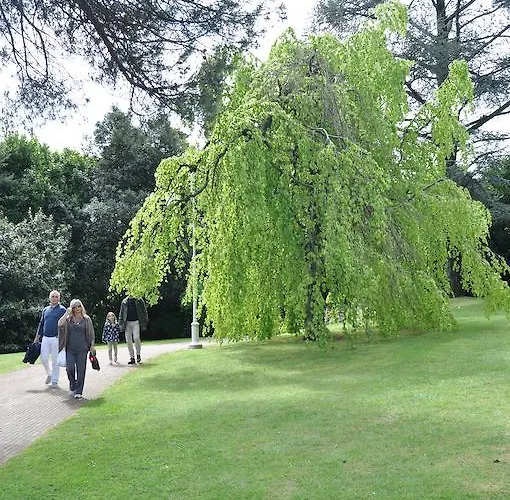 بيت للعطل Rio Molino *