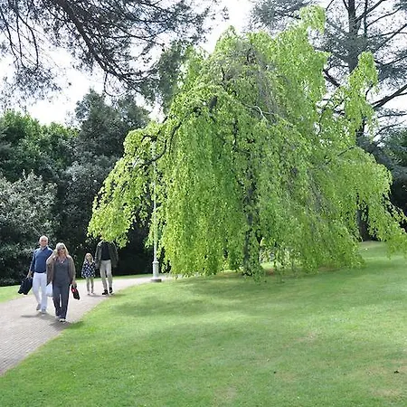 Дом отдыха Rio Molino *